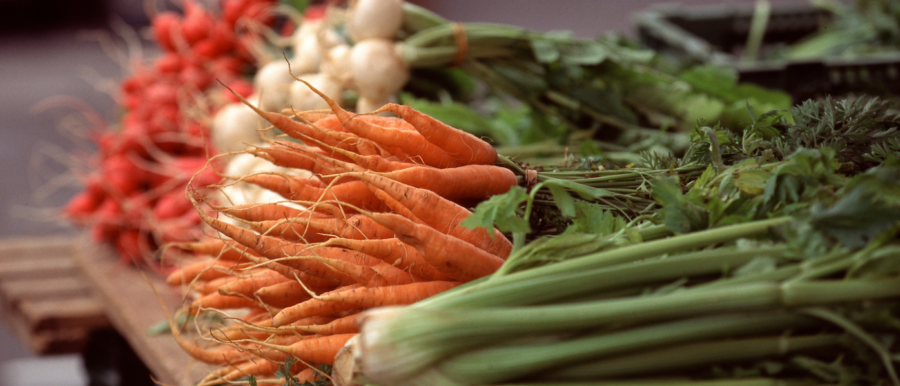 vegetables_small-e1643663094578