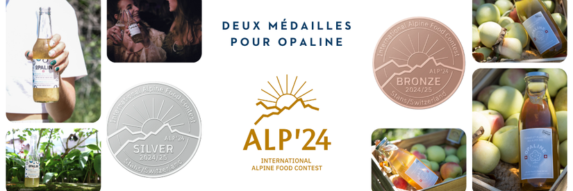 DE_Email footer_ALP24