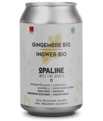Canette - Gingembre Bio