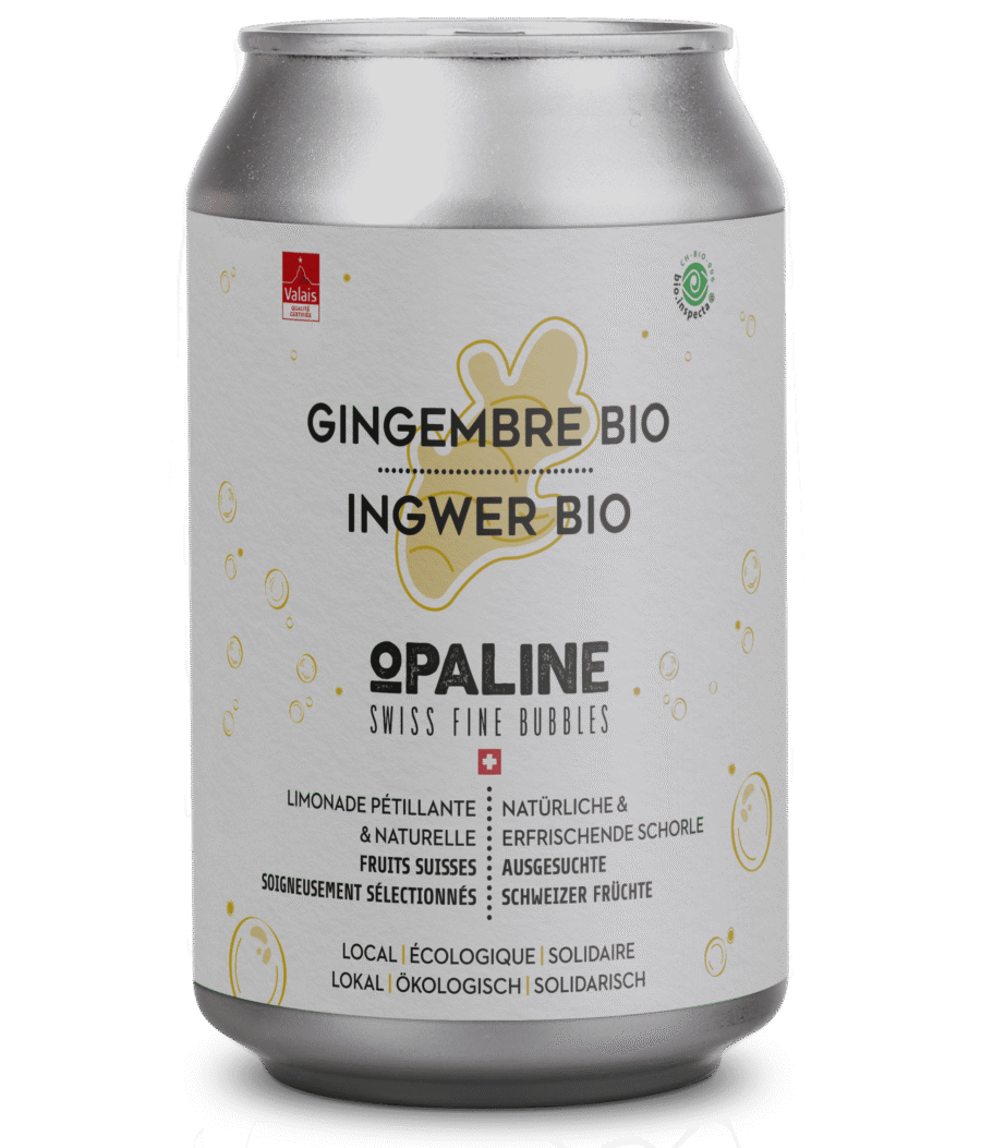 Canette – Gingembre Bio