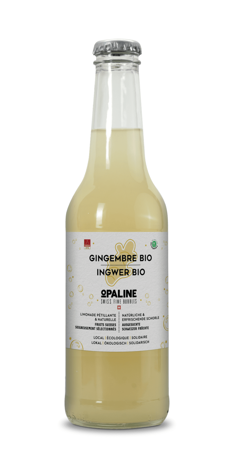 Gingembre Bio