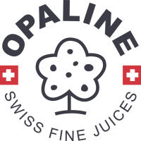 LOGO_Opaline_GREY_flagWhite